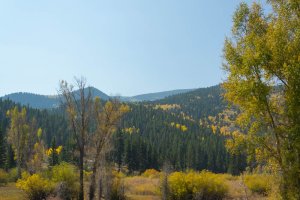 20201020FallColors2020092.jpg